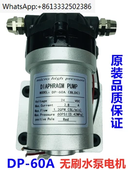 Shanghai Zhengte CT-10/20B Охлаждающий Резервуар для Циркулирующей воды Моторный Водяной насос DP-60A (BLDC) Бесщеточный Мембранный насос